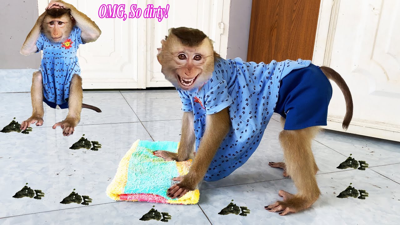 Monkey LyLy ran away from her mother to play outside and dirty the floor when she returned