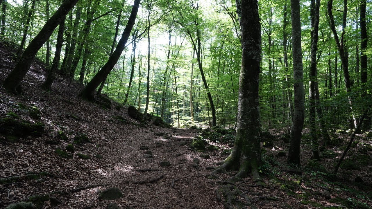 Pueblos Cuevas y Minas en Solitario. nº 5. La Garrotxa (Gerona)