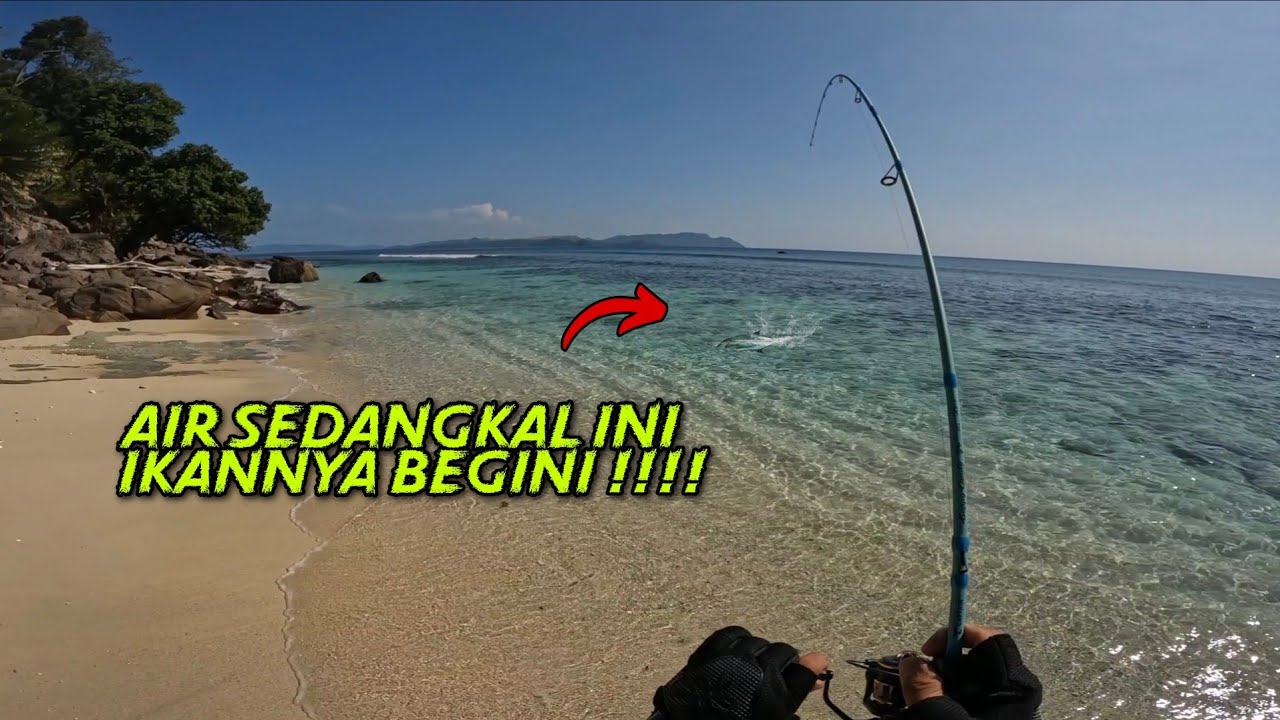 4 BULAN SAYA MENCARI !!! PENCARIAN BLUEFIN TREVALLY !!! mancing pinggir pantai UL casting minnow