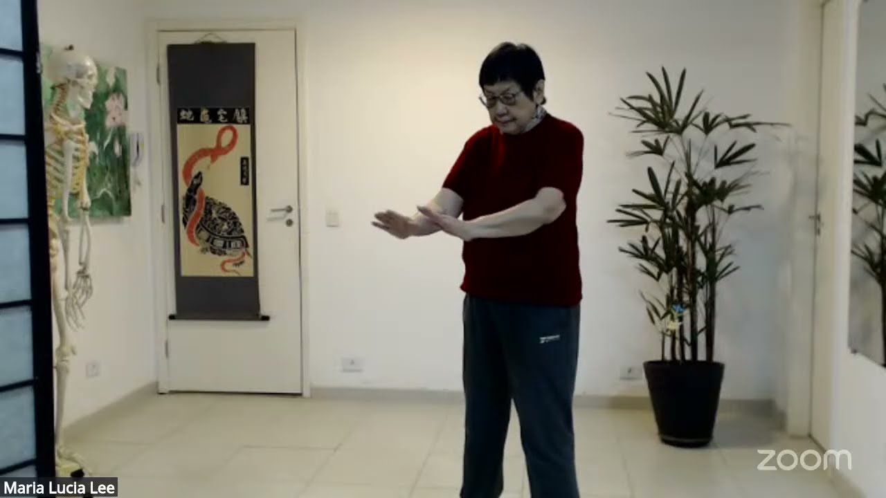 Prática de Artes Corporais Chinesas