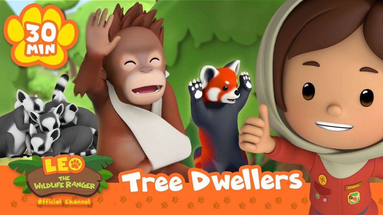 Orangutan, Monkeys, Owls & more ANIMALS living in TREES! 🌳 | Leo the Wildlife Ranger | Kids Cartoons