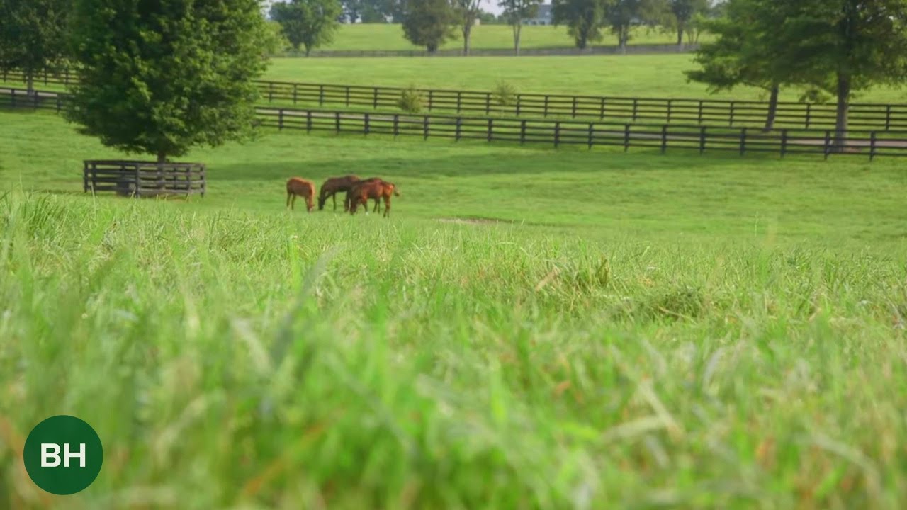 Legends of the Land: Claiborne Farm