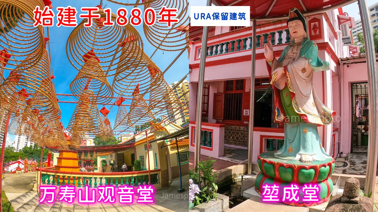 六月十九观音诞拜访两间毗邻140年观音庙｜新加坡直落布兰雅万寿山观音堂、堃成堂，URA受保留建筑。Singapore Telok Blangah Dr Temple 1880年始建。