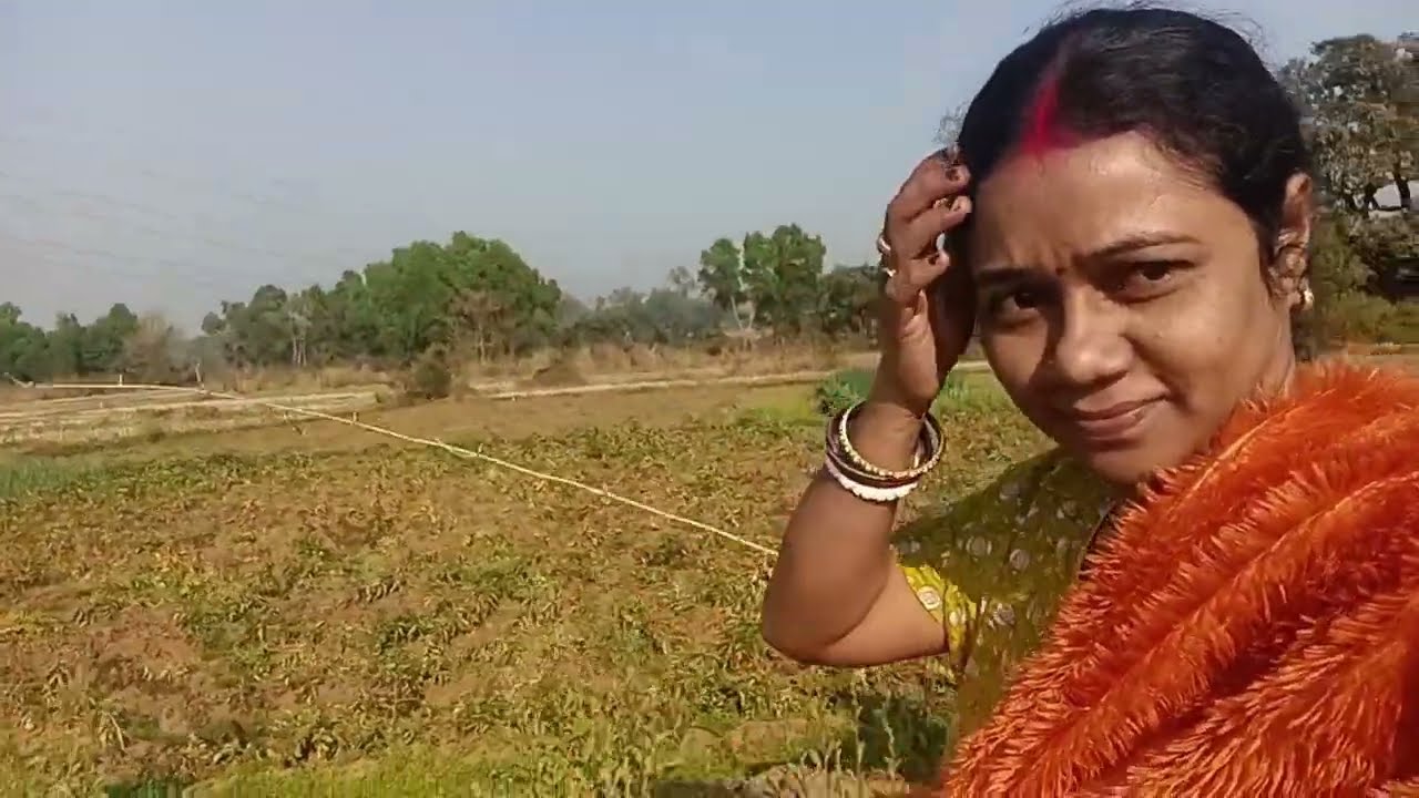 আজ খেতে গিয়ে মা আমি আমার ছেলে দাদা র ছেলে আলু 🥔 তুলে আলু চিপস বানালাম #blog #cookingchannel