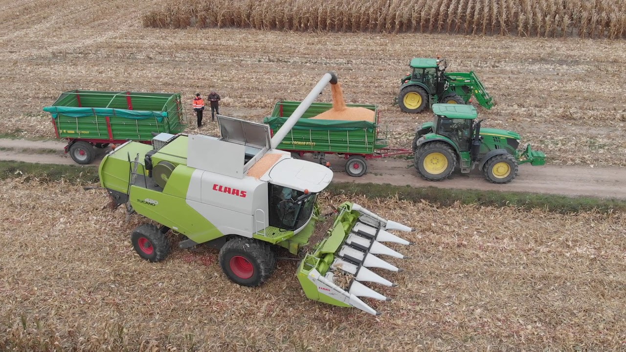 Epic Corn Harvest l Claas Tucano 420