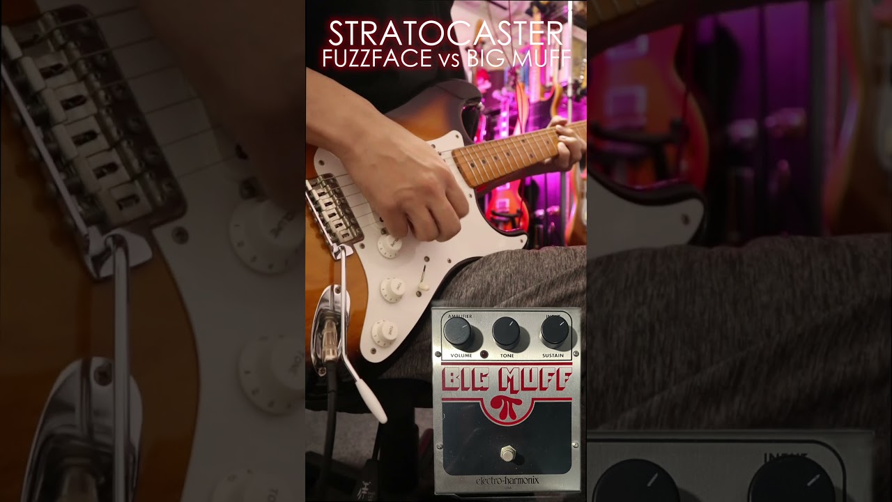 ストラトキャスター FUZZ FACE vs BIG MUFF🎸#fuzzface #bigmuff #stratocaster