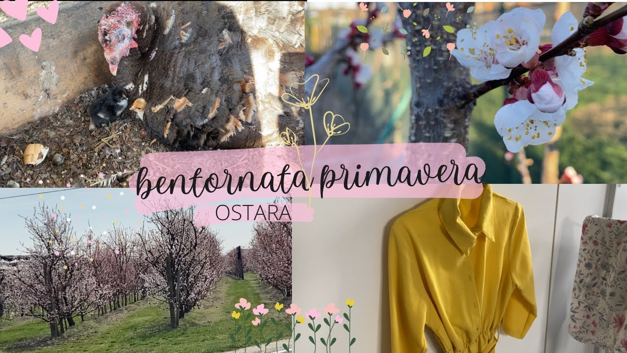 EQUINOZIO DI PRIMAVERA 🌷cosa faccio e SONO NATI I PULCINI 🐣🐥 relaxing vlog