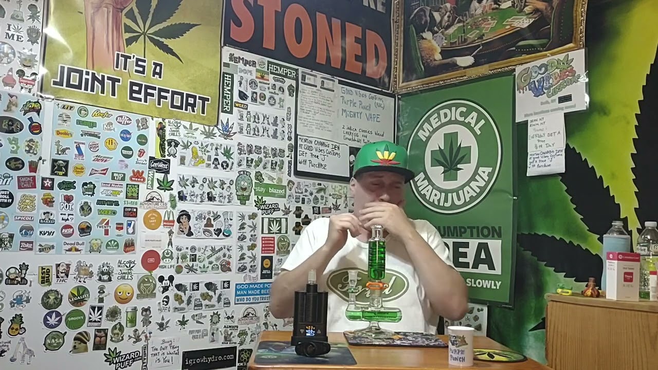 mighty vaporizer with purple punch recreational cannabis in bubbler (info in description below)