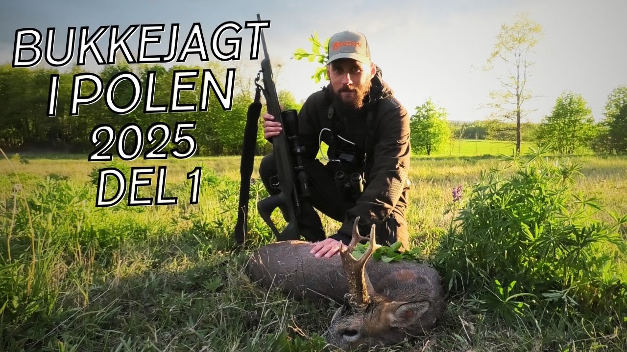 BUKKEJAGT I POLEN - EN HÅRD START !!! // NATURNØRD 668