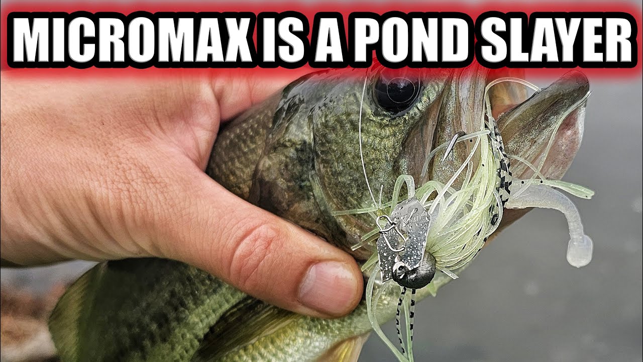 Z-Man Chatterbait MicroMax is a Pond Slaying Fishing Lure!