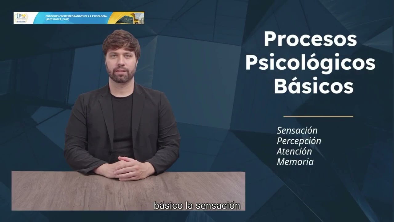 procesos psicológicos básicos