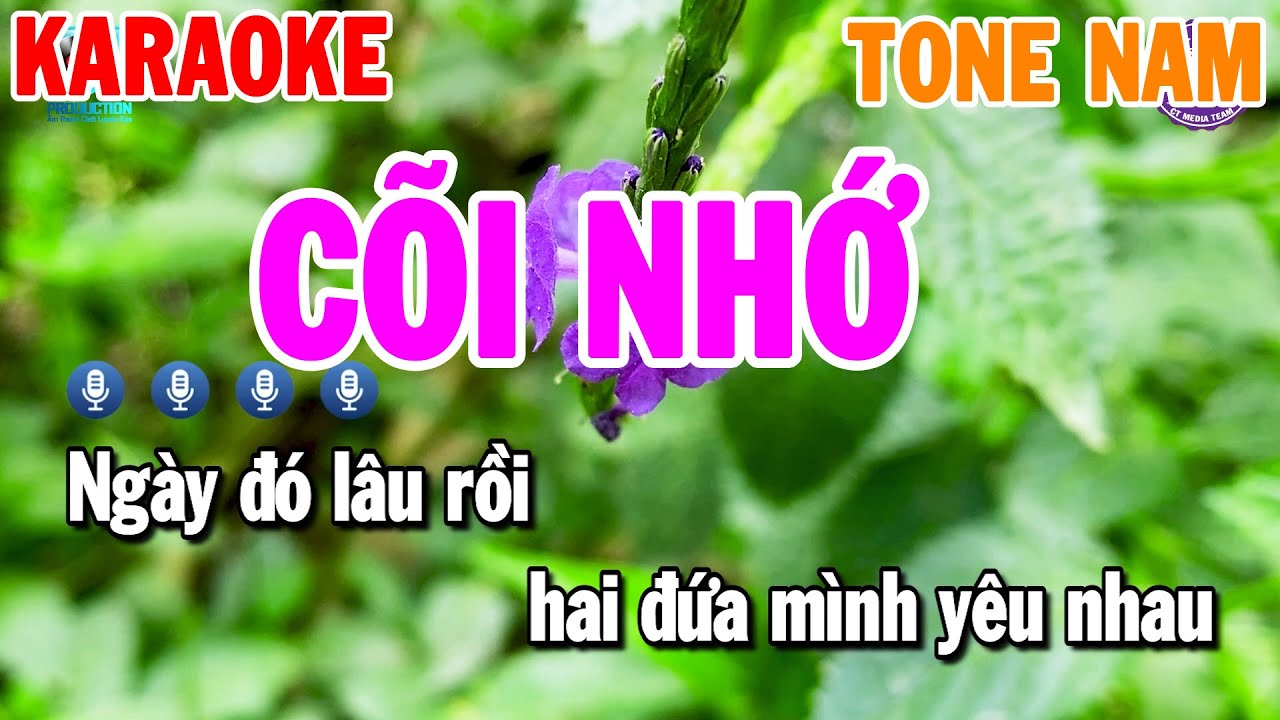 Karaoke Cõi Nhớ Nhạc Sống Tone Nam | Thanh Hải Organ