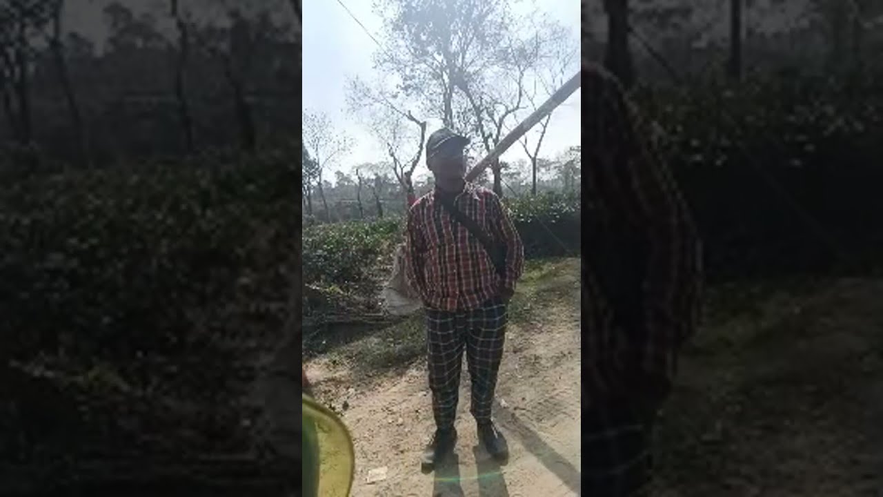 ওয়েলকাম পাহাড়ি আঁকাবাঁকা পথ থেকে বিদ্যাবিলের পথে লাইভে যুক্ত শ্রীমঙ্গল।