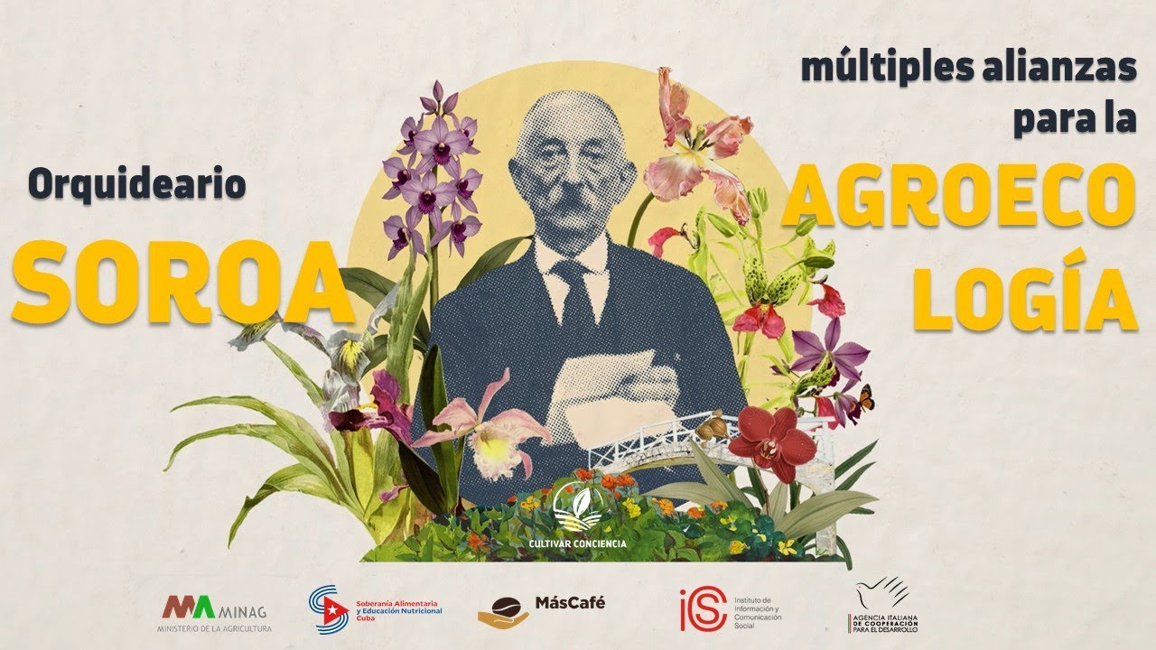 Soroa: más allá del famoso orquideario de Cuba