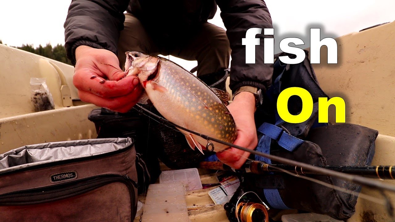 Eastern Brook Trout Fishing Out West