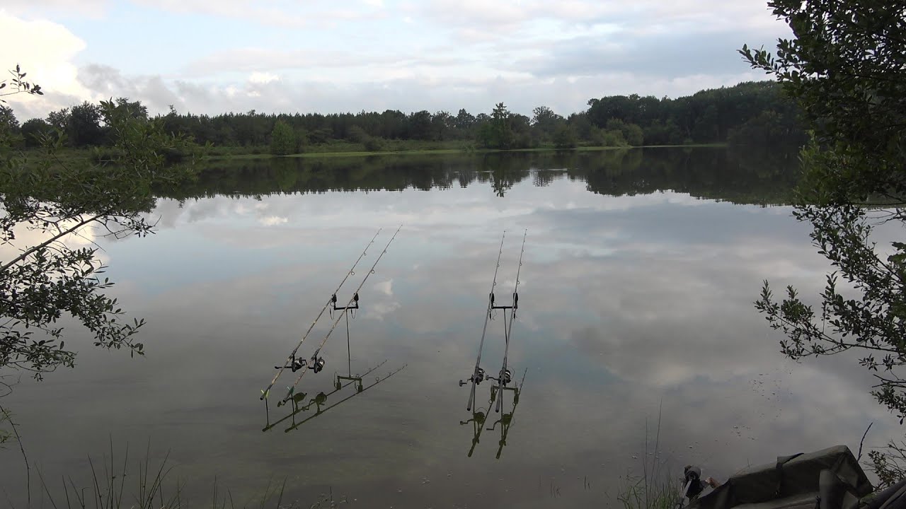 pêche de la carpe........départs en direct !!!
