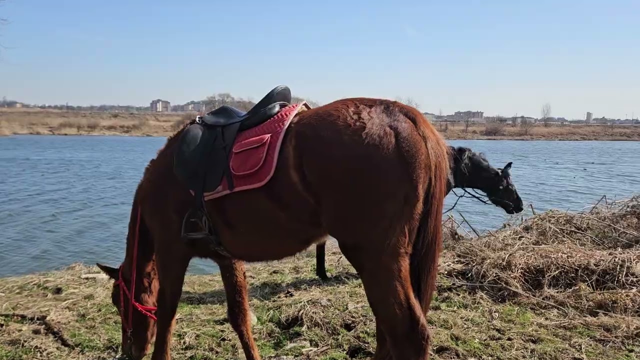 #승마외승성지 #황구지천 봄이오는 길목