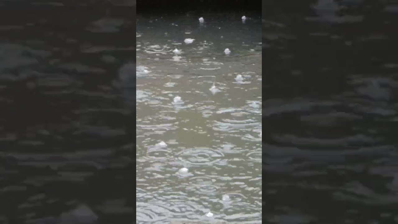 Rain Falling On A Calm Pond | Pure Natural Water Sounds