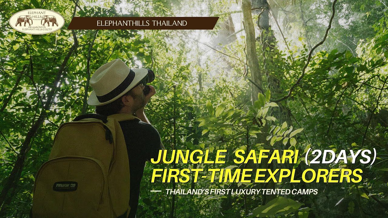 Elephant Hills: 2 Days Jungle Safari First-Time Explorers, Khao Sok National Park, Thailand