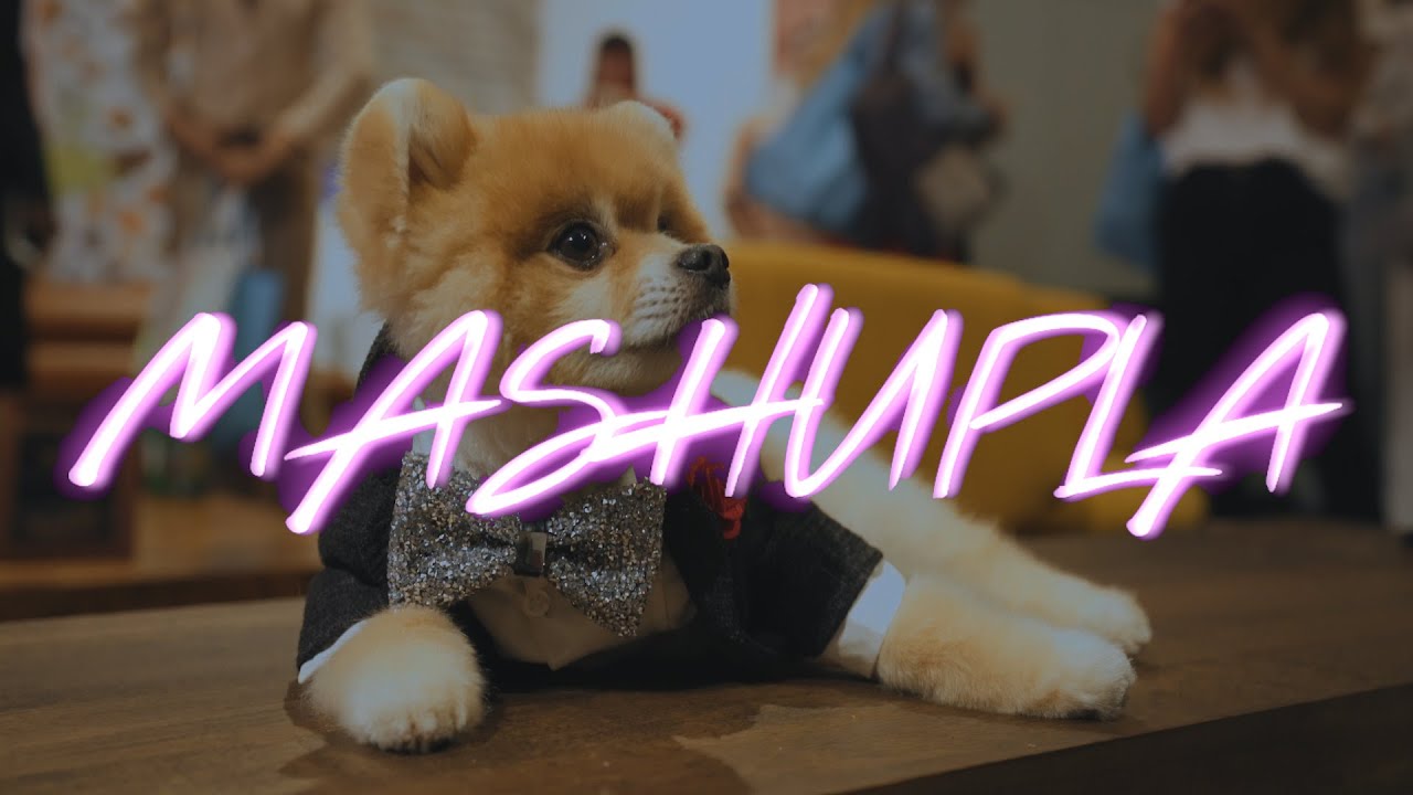 The LA Influencer Party: Mashup LA 2019