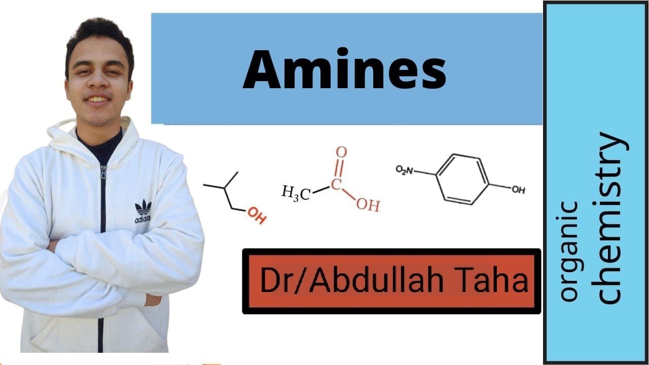 شرح محاضرة  Amine reactions &Diazonium salt reactions  الفرقه الاولي صيدله (مهم جداً جداً)