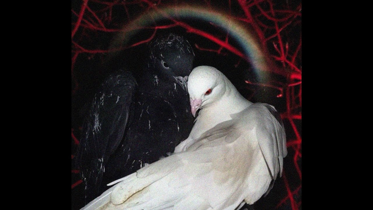 (free for profit) lucki + smokedope2016 type beat ''in da party''