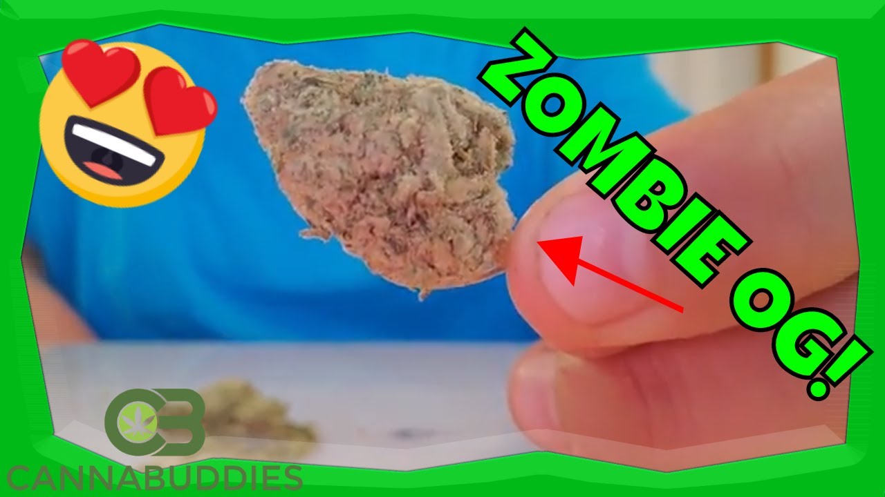 2020 Zombie OG Weed Strain Review & Discount Code for KanaPost