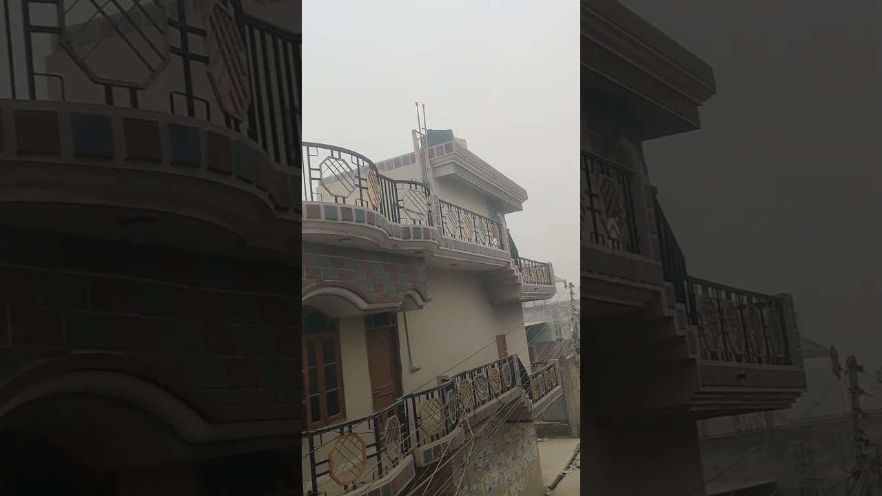 Foggy 