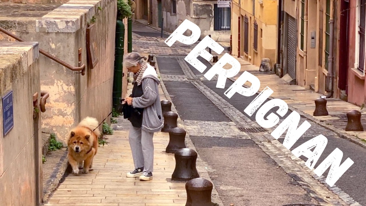 Перпиньян (Южная Франция) - прогулка по старому центру города