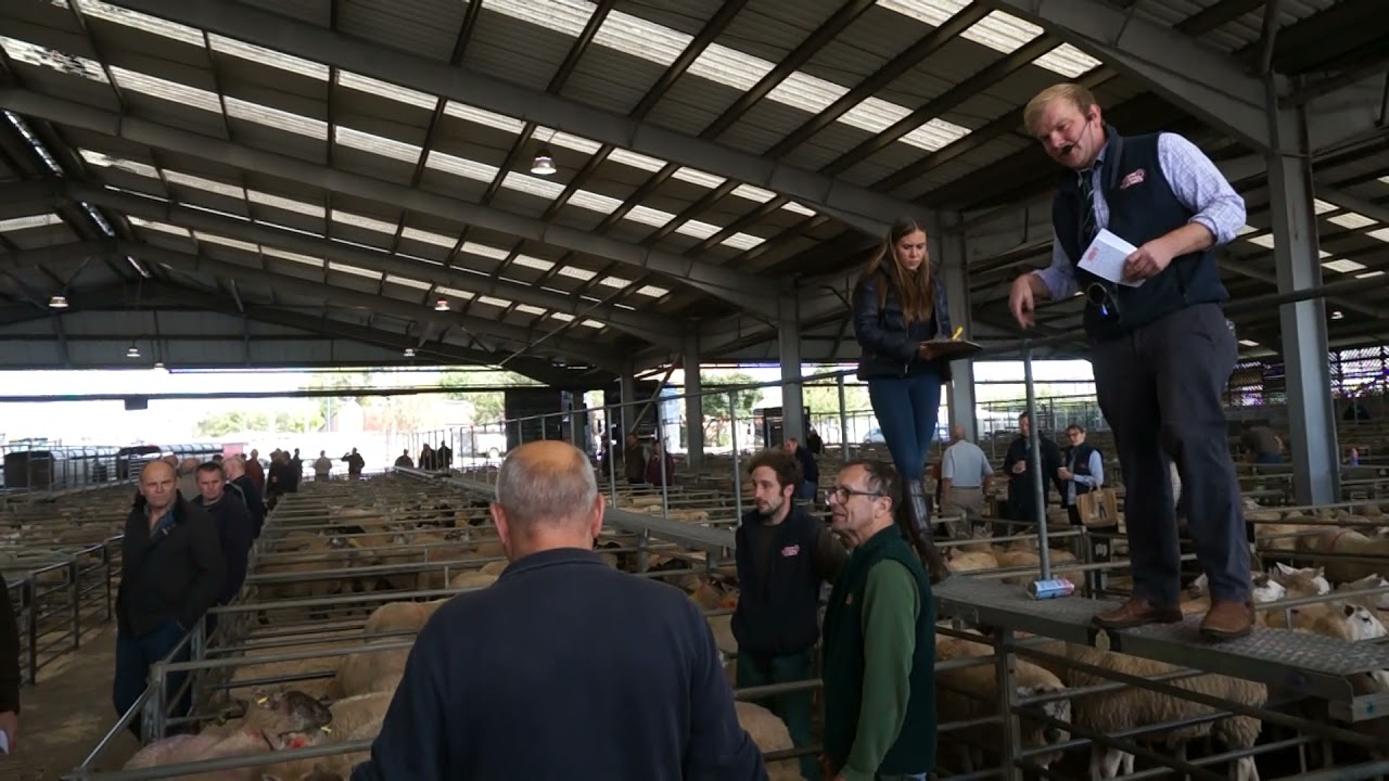 Melton Mowbray auction