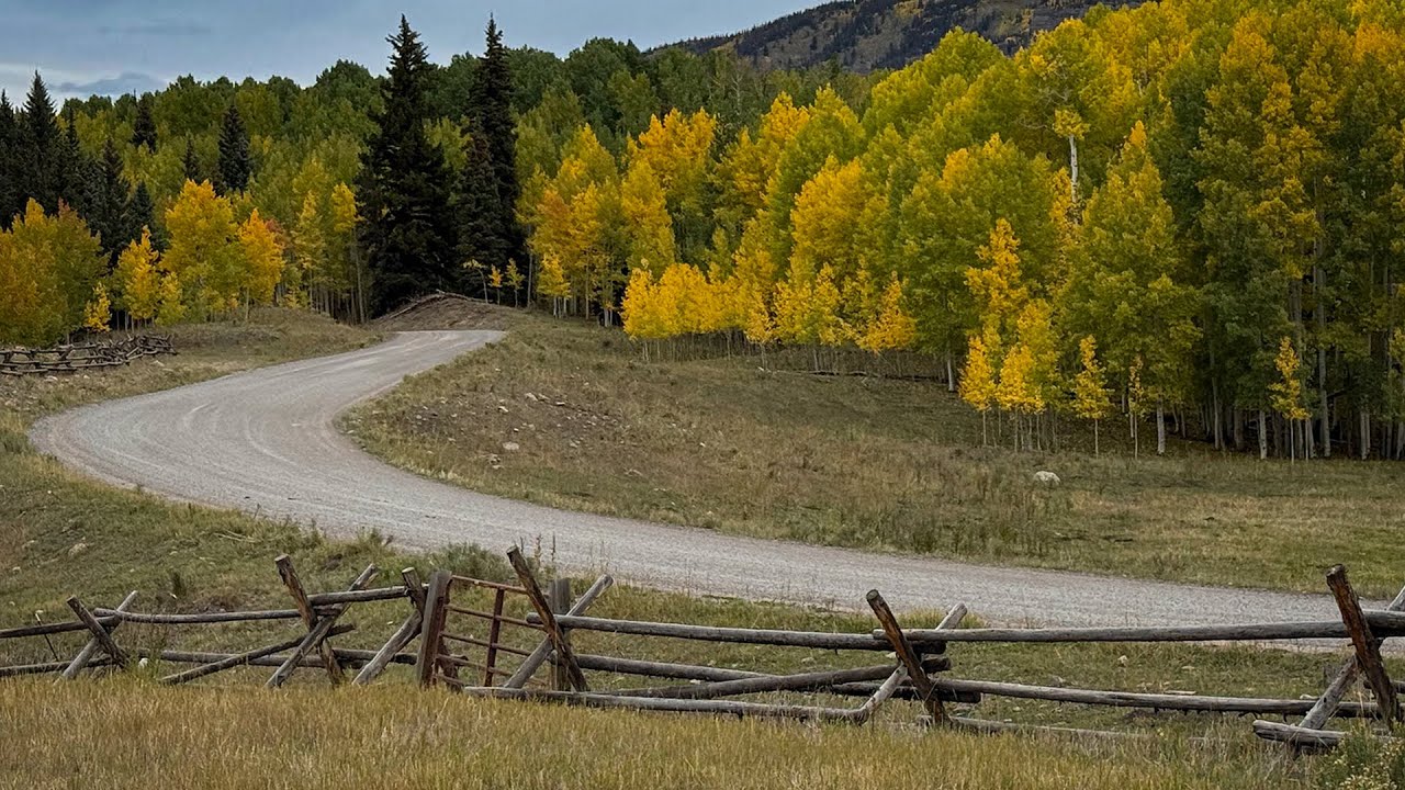 Fall Colorado Colors 9-22-25
