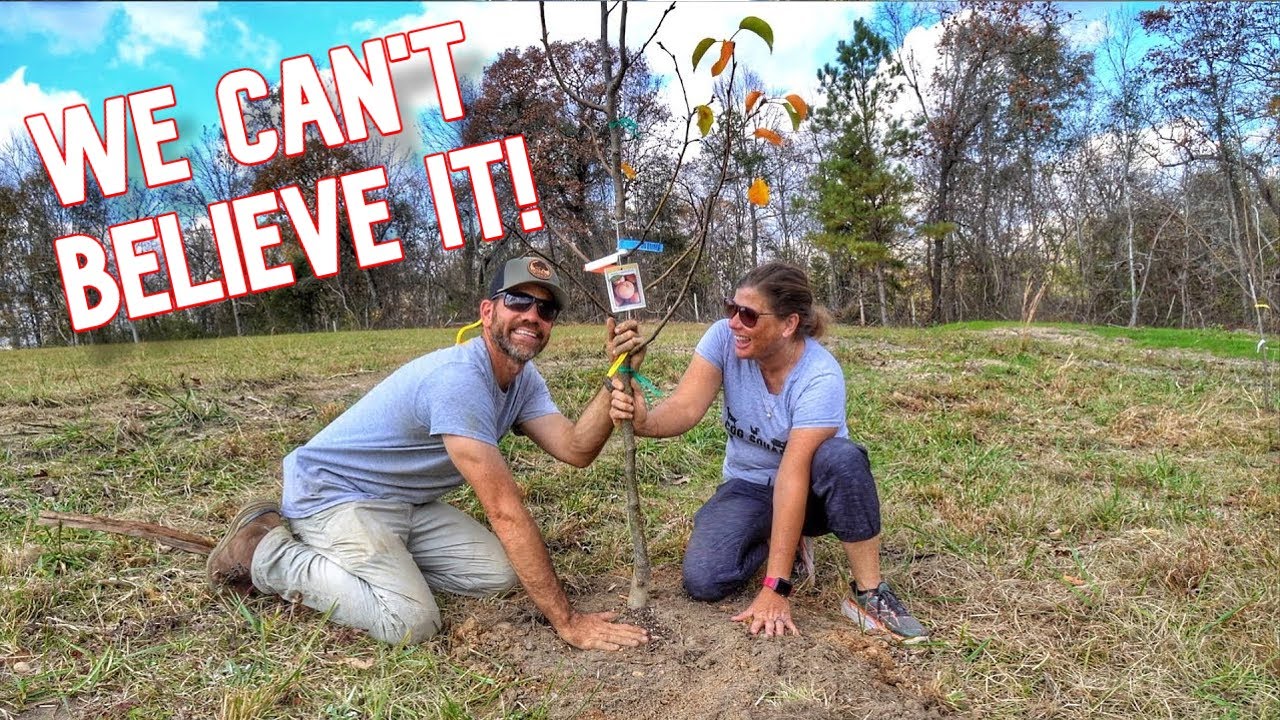 It’s HAPPENING! A New Beginning On The Farm!!!!