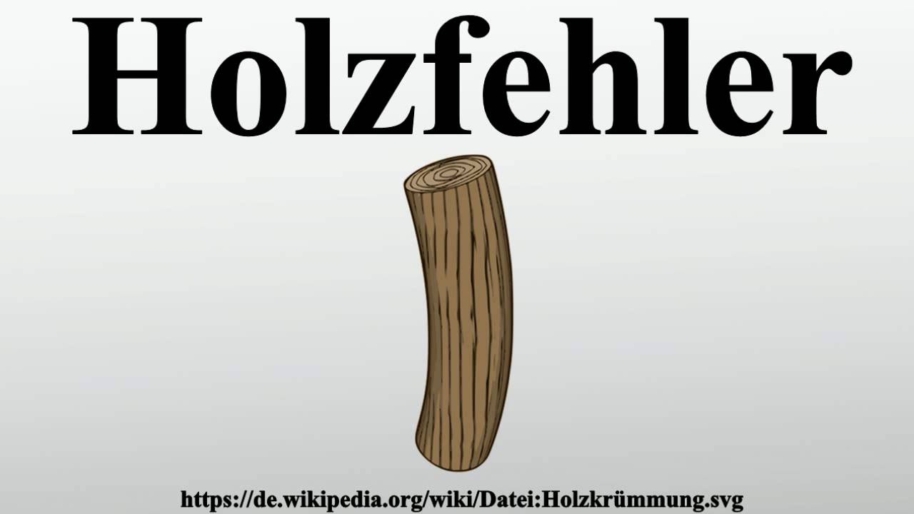 Holzfehler