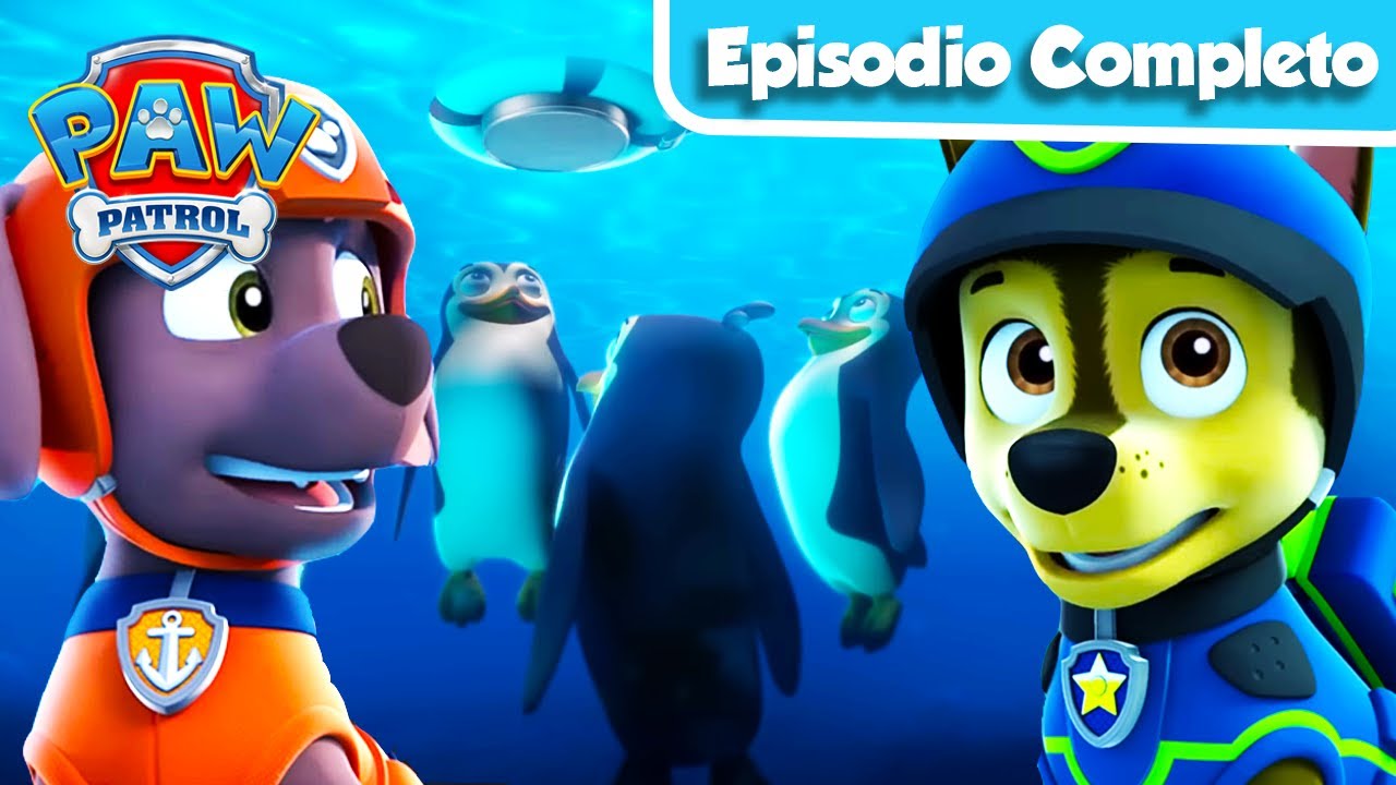 Salvemos a los Pingüinos | Episodio Completo | PAW Patrol | Episodio Español | Compilación