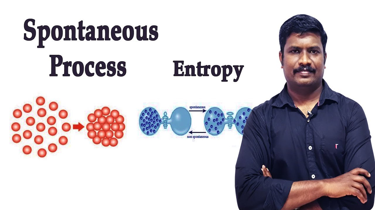 16.Spontaneity | Entropy | Thermodynamics | CBSE Class 11 Chemistry | Tamil