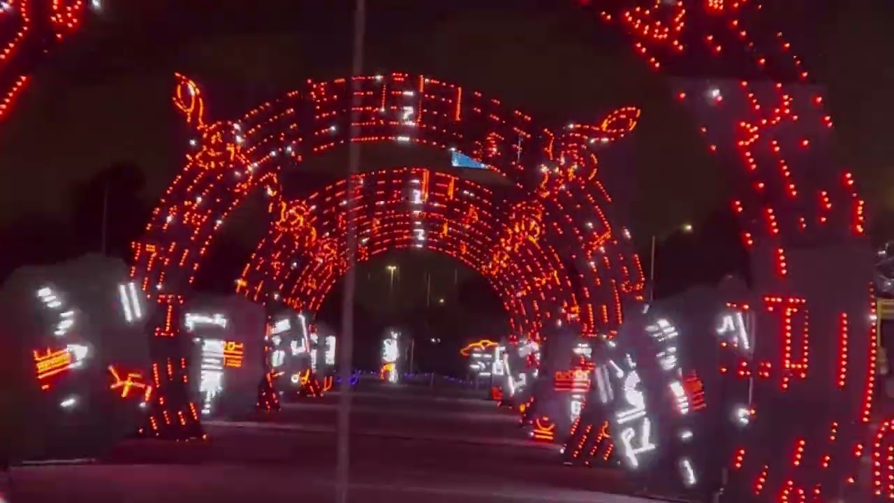 Hoy visitamos world of illumination. Luces de Navidad. Muy divertido y económico se los recomiendo. 