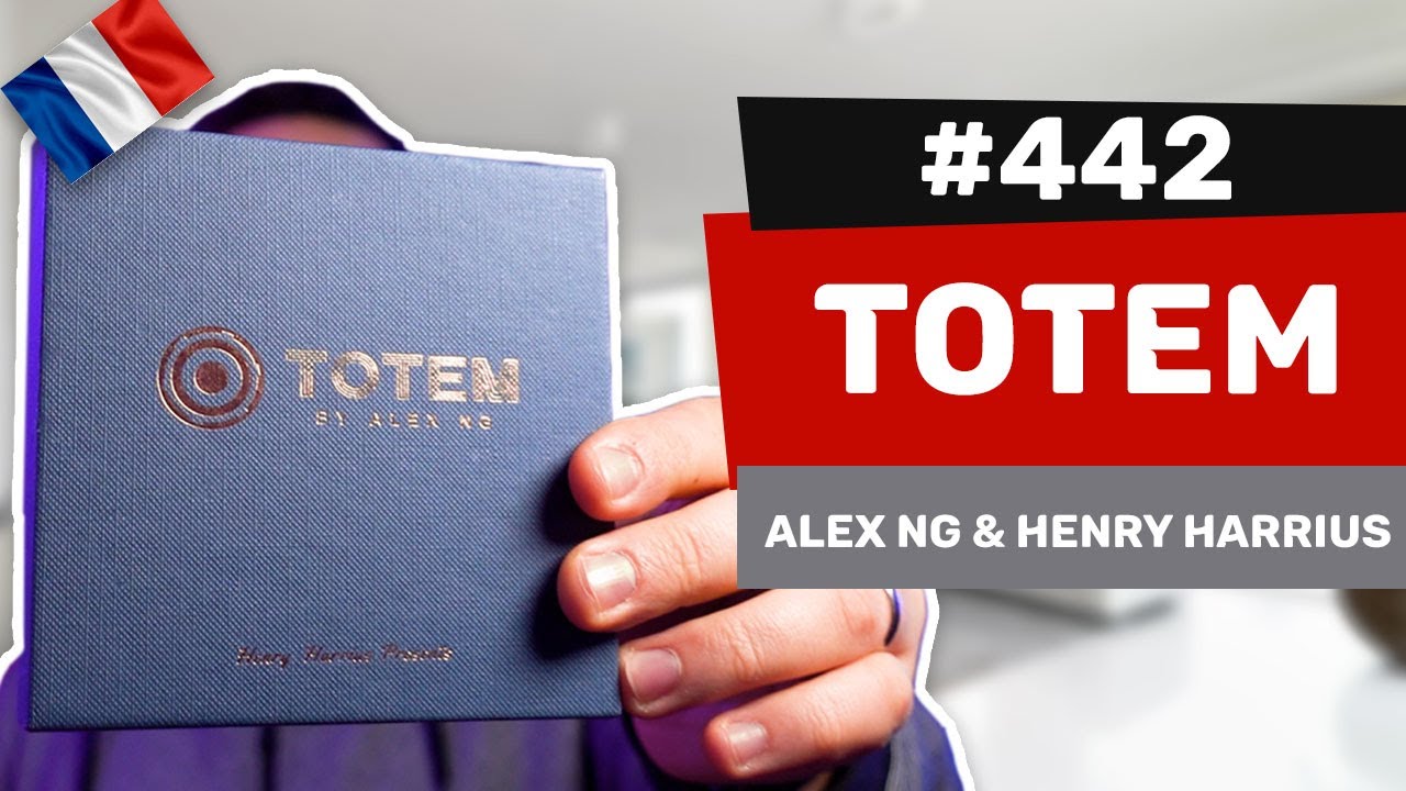 Les avis d'Alexis #442 - Totem d'Alex NG & Henry Harrius