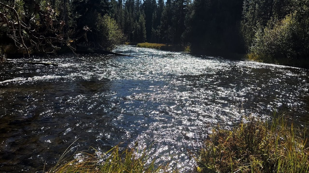 (4K UHD) ОСНОВНЫЕ МЕСТА ДЛЯ ПЕШЕГО ТУРИЗМА - Зона отдыха Mile Camp и рыболовная зона на реке Дешу...