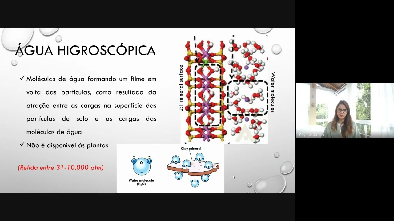 Fases do solo - fase líquida e fase gasosa