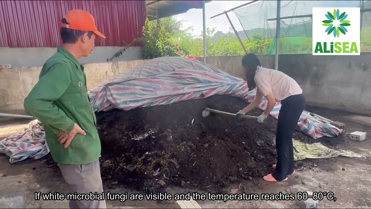 Biến vỏ cà phê thành phân bón hữu cơ | Turning Coffee Husks into Fertilizer
