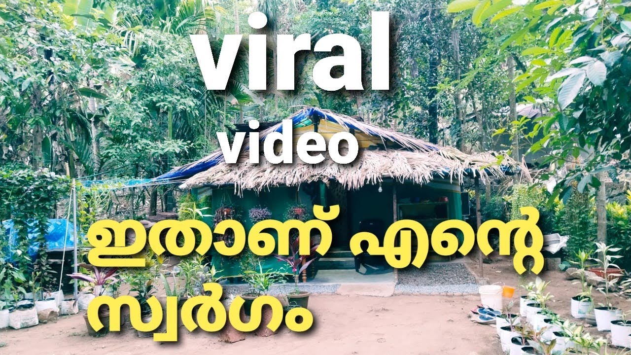 ഞങ്ങളുടെ കുഞ്ഞു സ്വർഗം.. ചിലവു കുറഞ്ഞ പണിയിൽ Bsmi : v|og