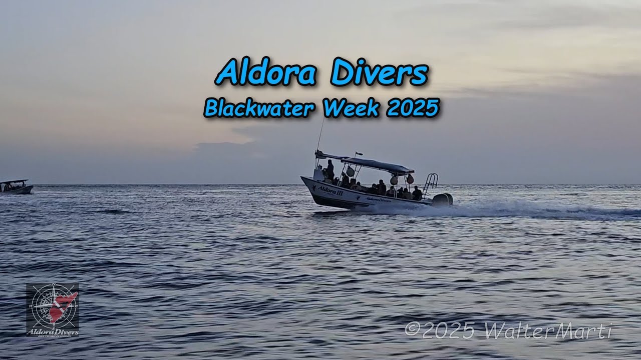 Aldora Divers Blackwater Week 2025