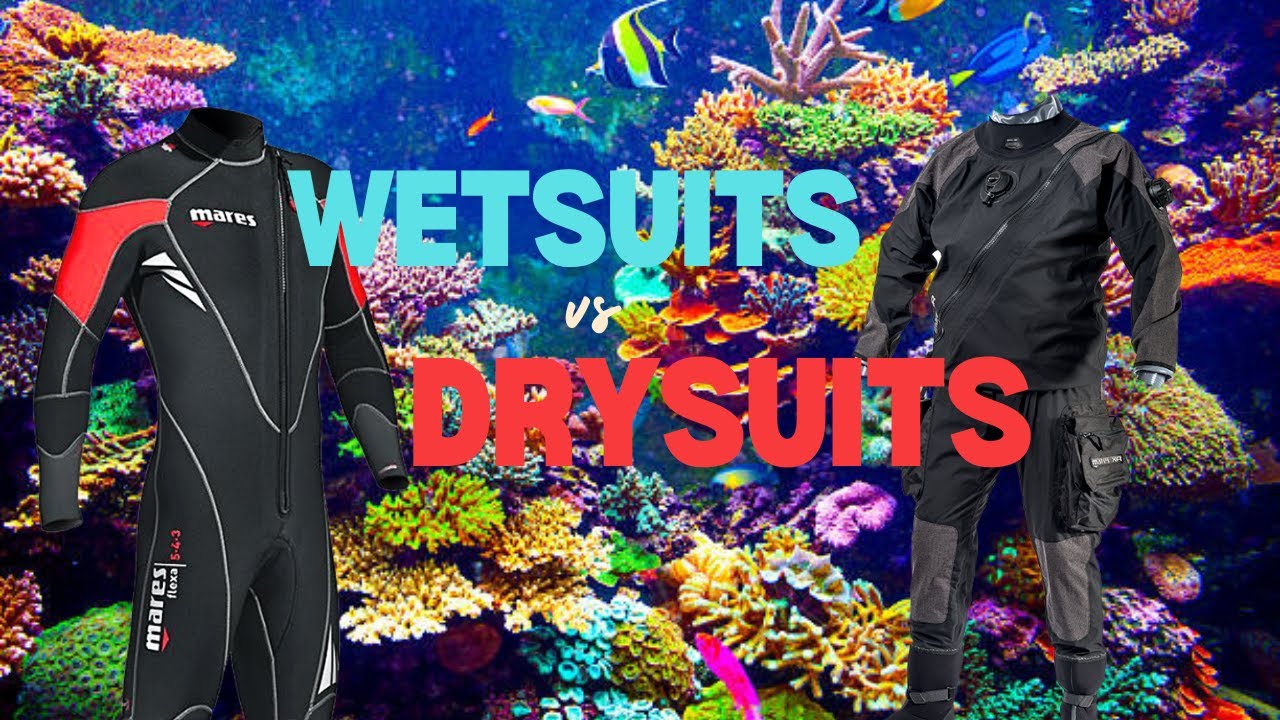 What Are The Differences Between Wetsuits and Drysuits? Which is Best For You? #scubadiving