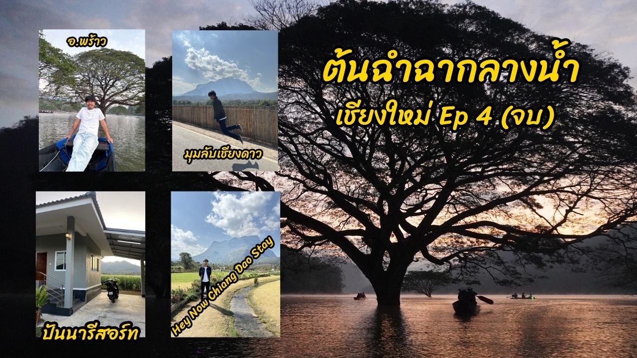 ต้นฉำฉากลางน้ำ นอนที่ปันนารีสอร์ท พร้าว แวะไปจุดเช็คอินยอดฮิตที่เชียงดาว จ.เชียงใหม่