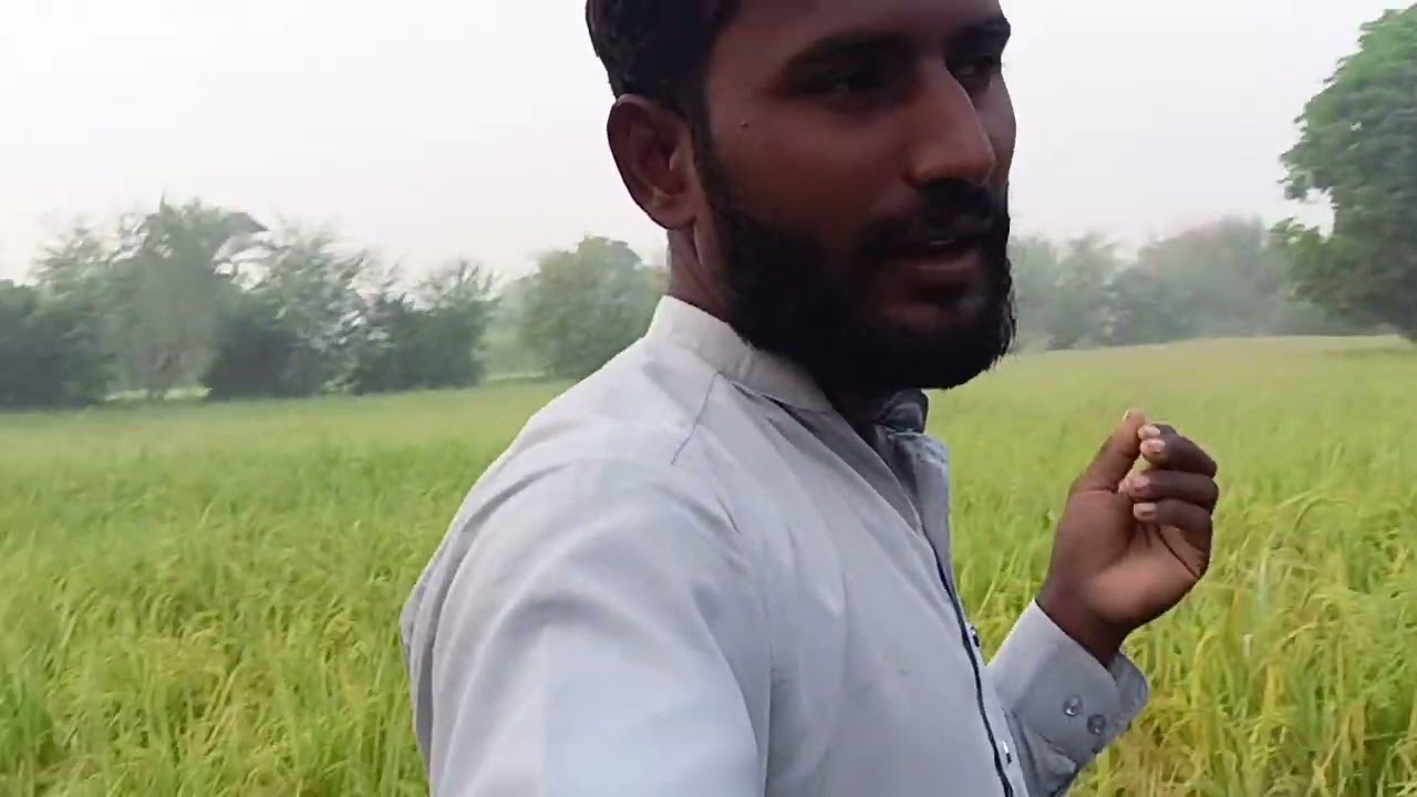 صبح کا خوشگوار موسم مرزا سکندر رقبے پر گھومنے گیا تو بہت عجیب موسم تھا 🌹🌹🌹🌹🌹