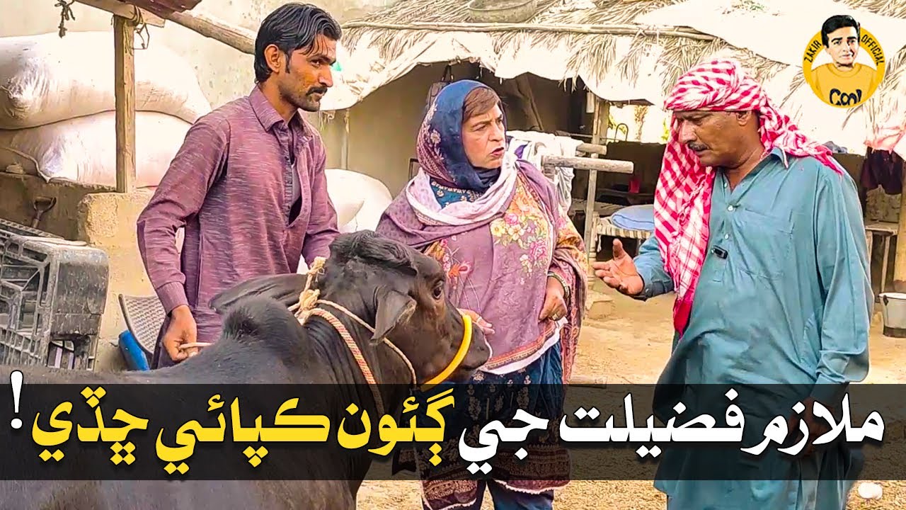 Fazeelat Begum | Mulazim Fazeelat ji Gaon Khappai Shadi
