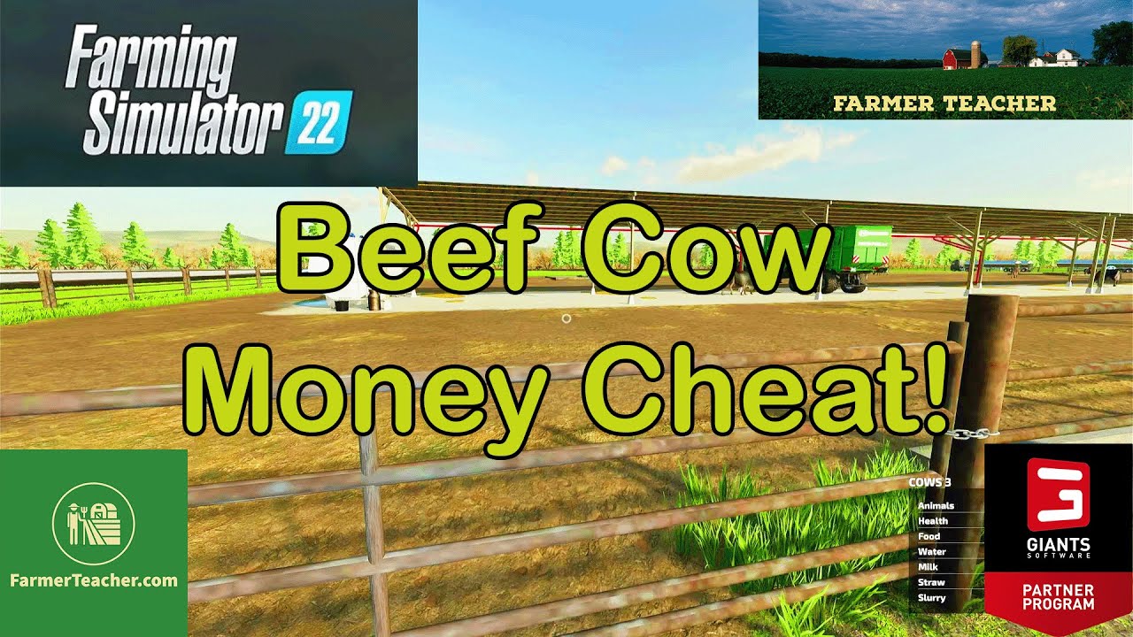 FS 22: Beef Cattle Money Cheat Secrets