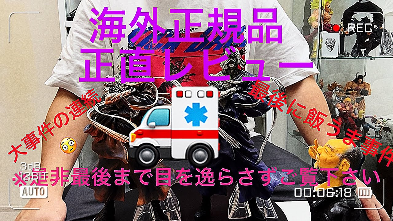 海外正規品と国内正規品の志々雄真実見比べレビュー！！