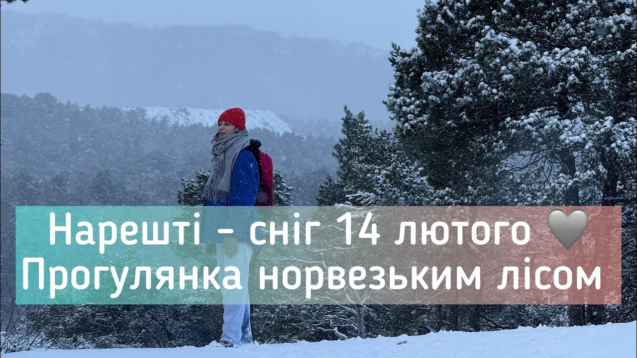 Норвезький ліс. Роздуми про життя.