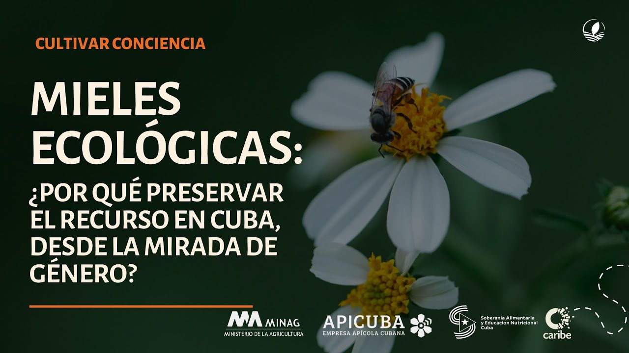 Cuba  | ¿Por qué preservar las mieles ecológicas  con enfoque de género?